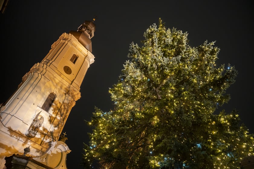 Choinka na Dobrzyńskiej. Świąteczne iluminacje we Wrocławiu